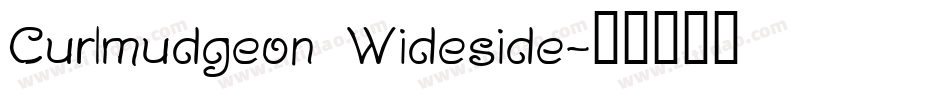 Curlmudgeon Wideside字体转换